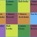 screenshot_-_sq_ft_garden_plan.jpg