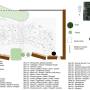 mandala_garden_plan_2017_-_new_map_1_.jpg