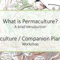 what_is_permaculture.jpg