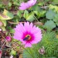 img_20160815_160123.jpg